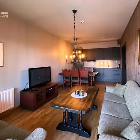 Appartement Modern Apartment In Trysil Lodge - Ski-Inout *