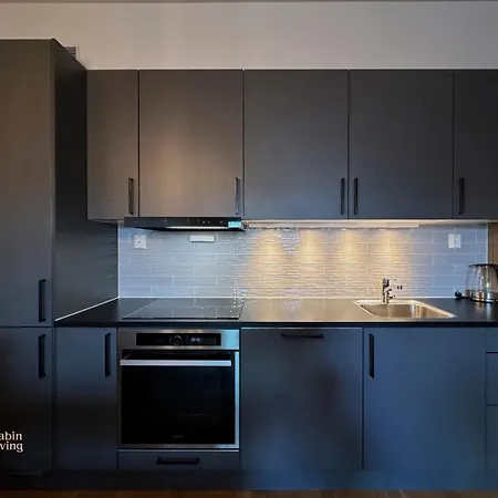 Modern Apartment In Trysil Lodge - Ski-Inout Apartment