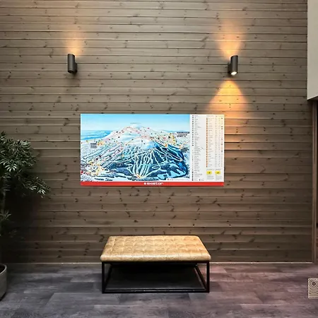 Modern Apartment In Trysil Lodge - Ski-Inout Trysil
